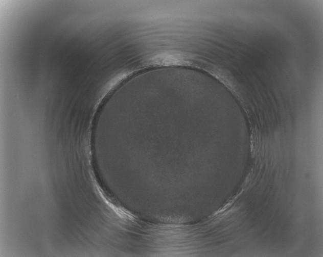 X0000062790438200512261559