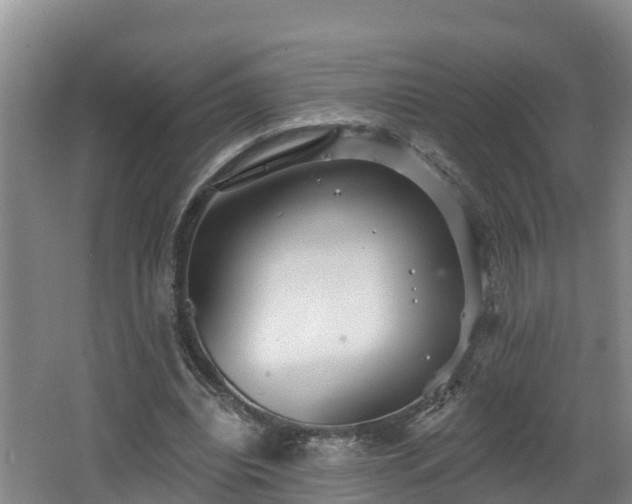 X0000062790440200512261559