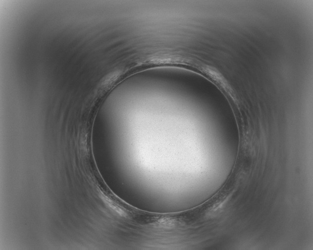 X0000062790441200512261559