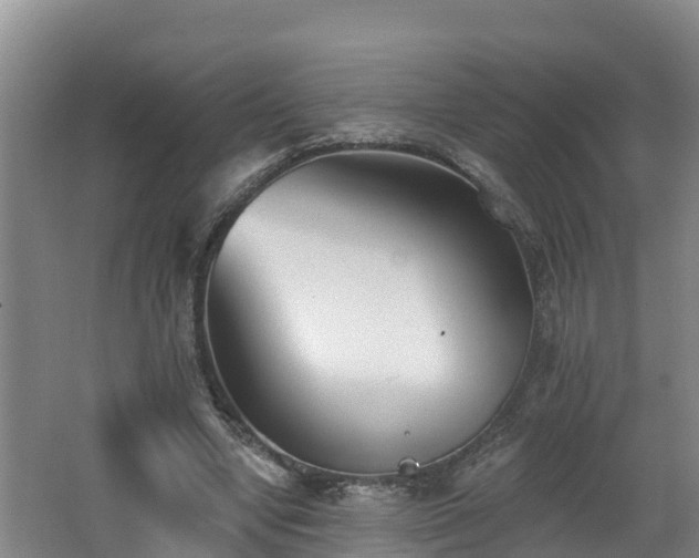 X0000062790442200512261559