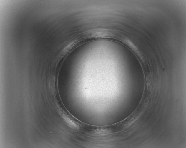 X0000062790445200512261559