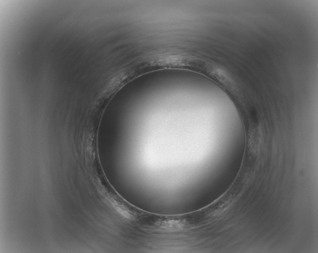 X0000062790449200512261600