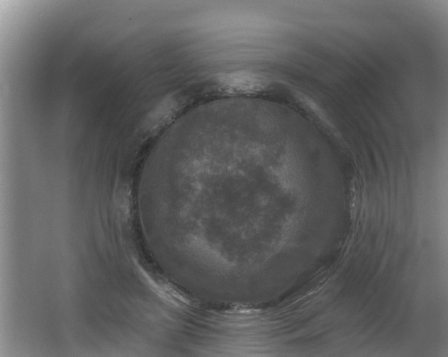 X0000062790451200512261600