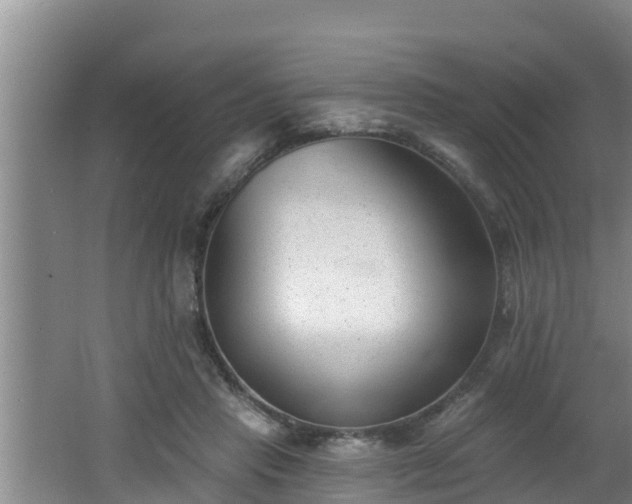 X0000062790453200512261600