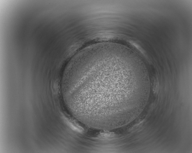 X0000062790455200512261600