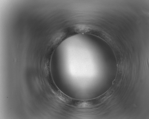 X0000062790460200512261600