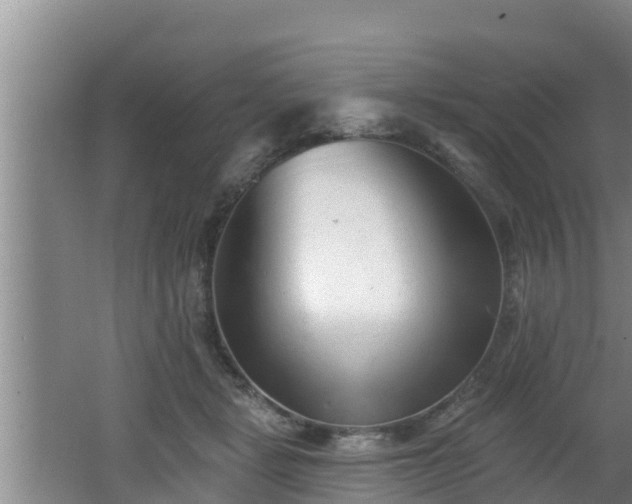 X0000062790461200512261600