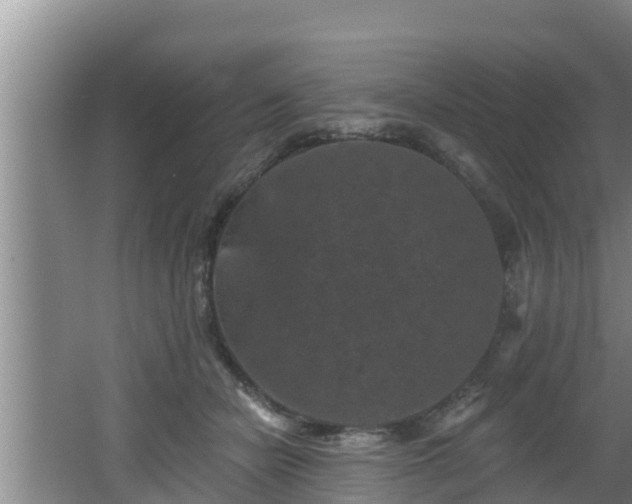 X0000062790462200512261600