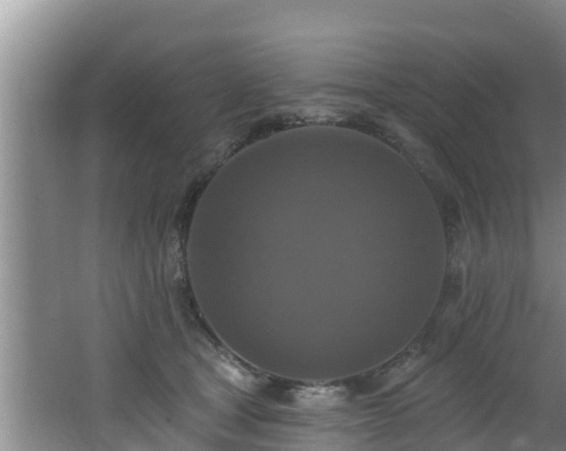 X0000062790465200512261600