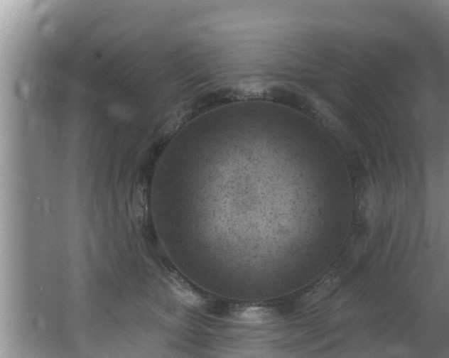 X0000062790467200512261600