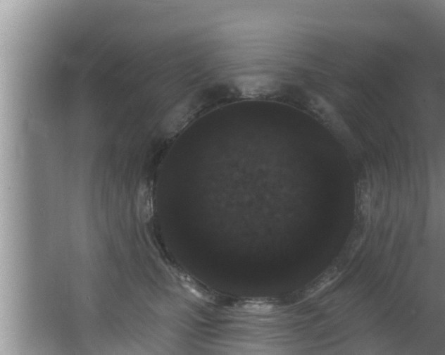 X0000062790471200512261600