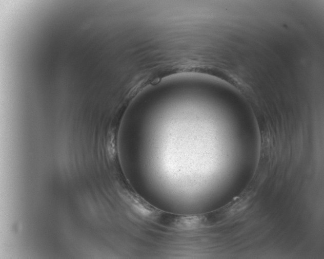 X0000062790479200512261600