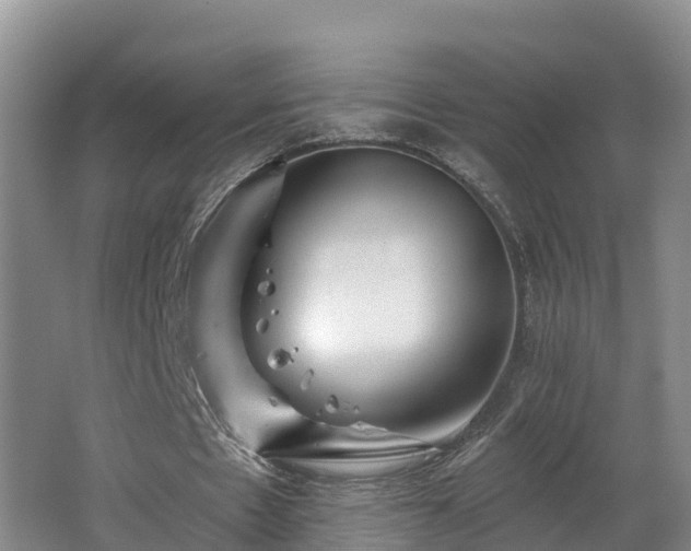 X0000062790481200512261559