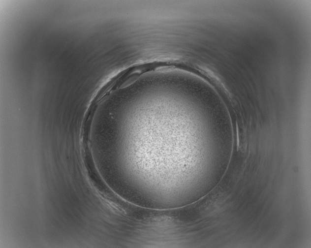 X0000062790483200512261559