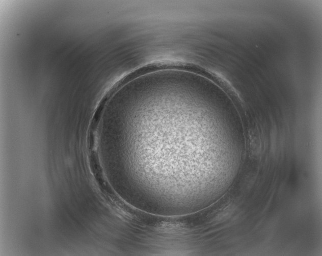 X0000062790487200512261559