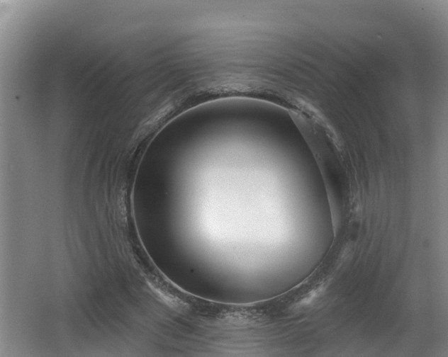 X0000062790489200512261559