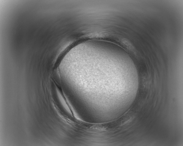 X0000062790491200512261559