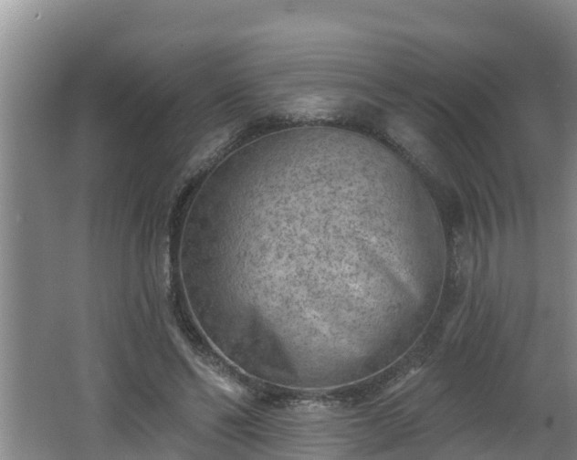 X0000062790494200512261559