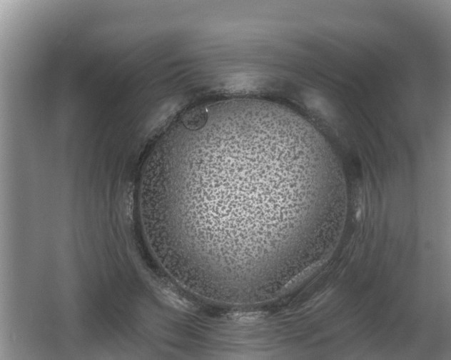 X0000062790495200512261559