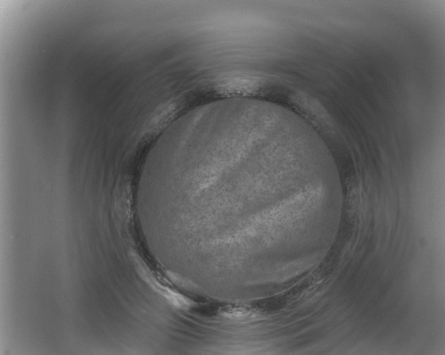 X0000062790498200512261559