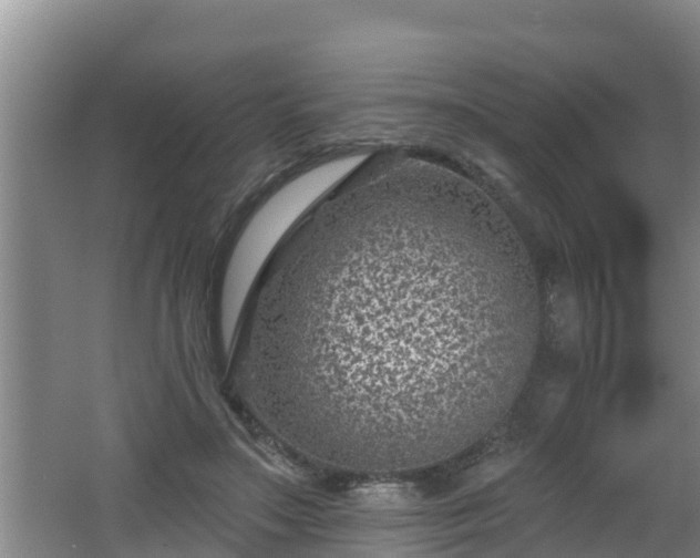 X0000062790499200512261559