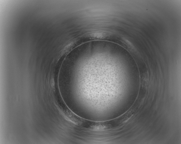 X0000062790500200512261559