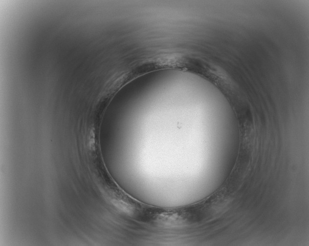 X0000062790502200512261559