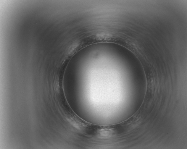 X0000062790508200512261559