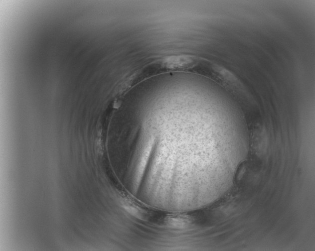 X0000062790510200512261559