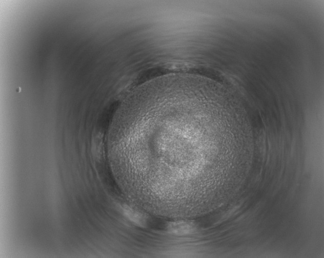 X0000062790511200512261559