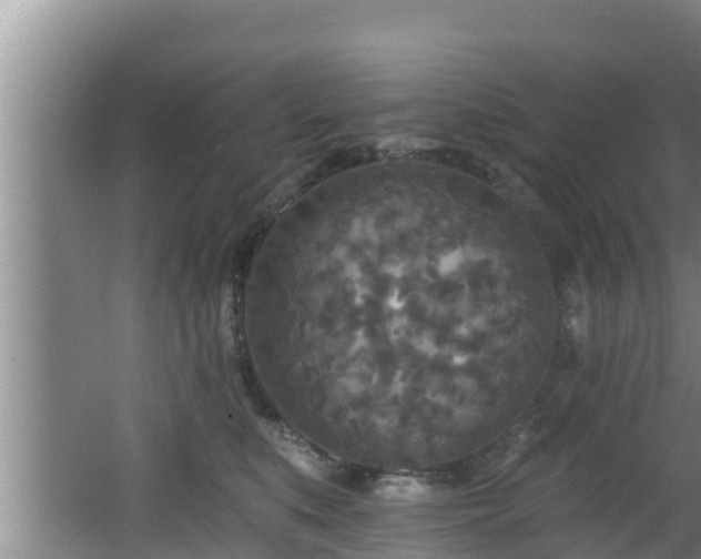 X0000062790519200512261559