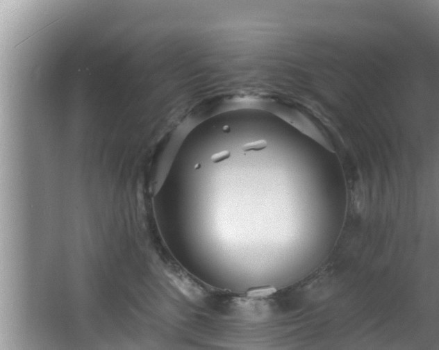 X0000062790520200512261559