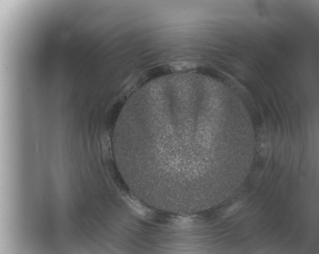 X0000062790523200512261559