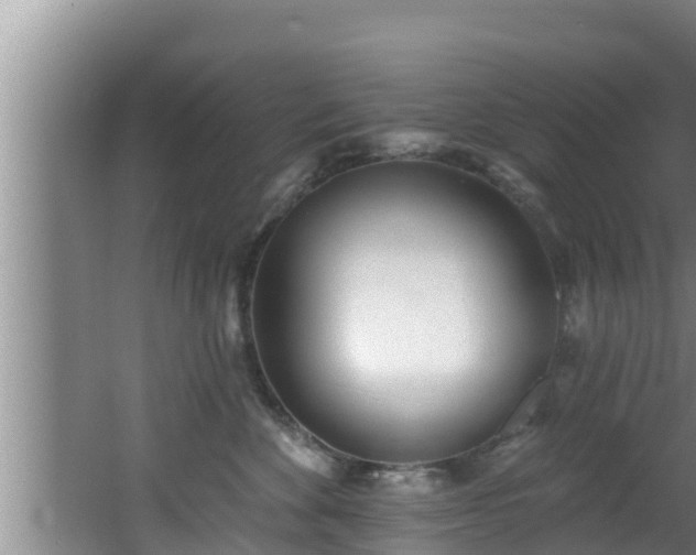 X0000062790524200512261559