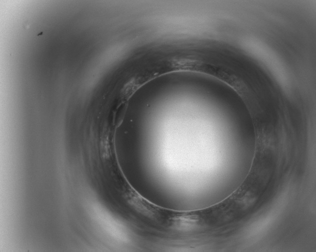 X0000062790525200512261559