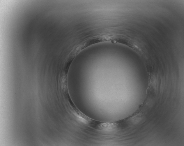 X0000062790526200512261558