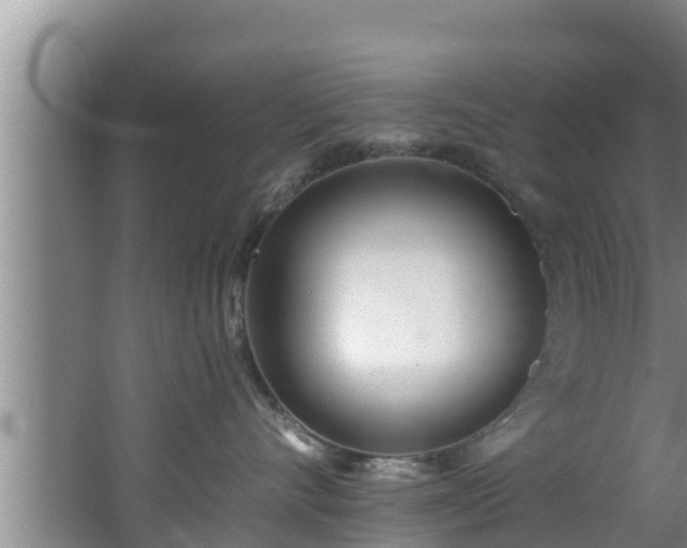 X0000062790528200512261558