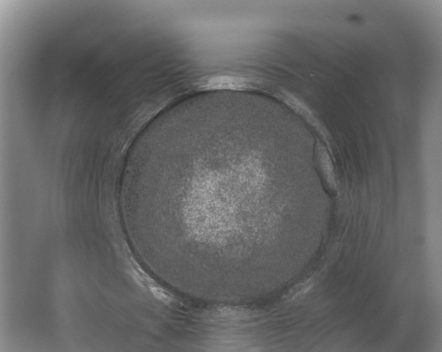 X0000062790529200512261558