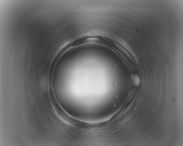 X0000062790530200512261558