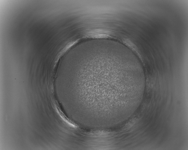 X0000062790533200512261558