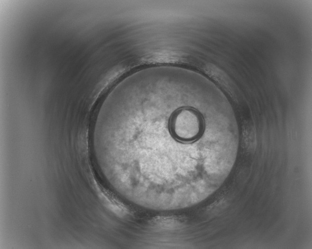 X0000062790534200512261558