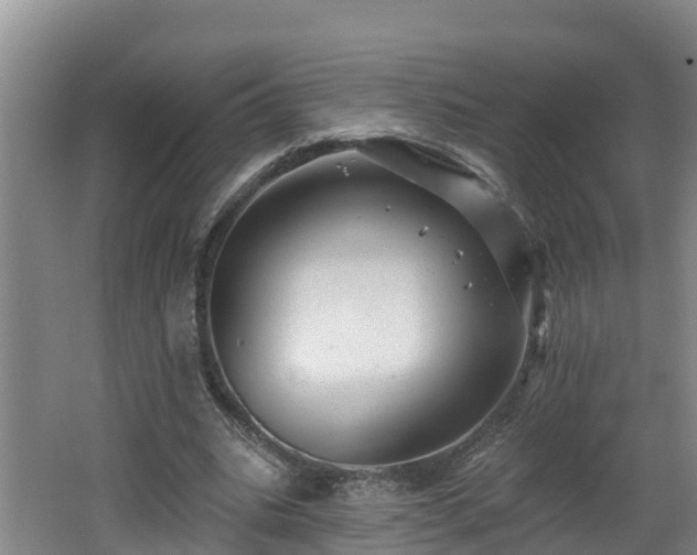 X0000062790535200512261558