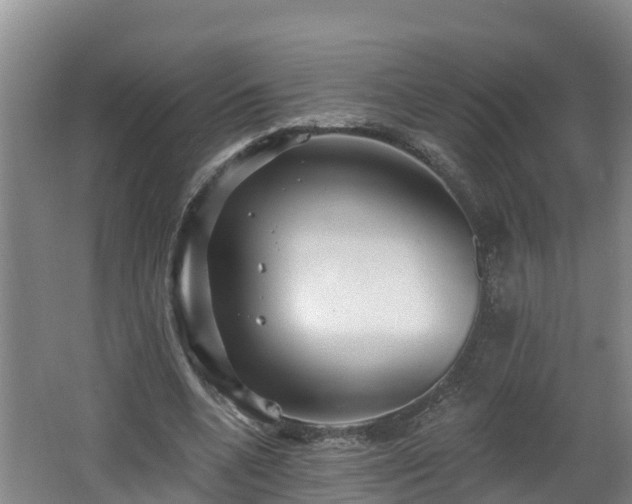 X0000062790536200512261558