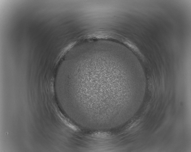 X0000062790537200512261558