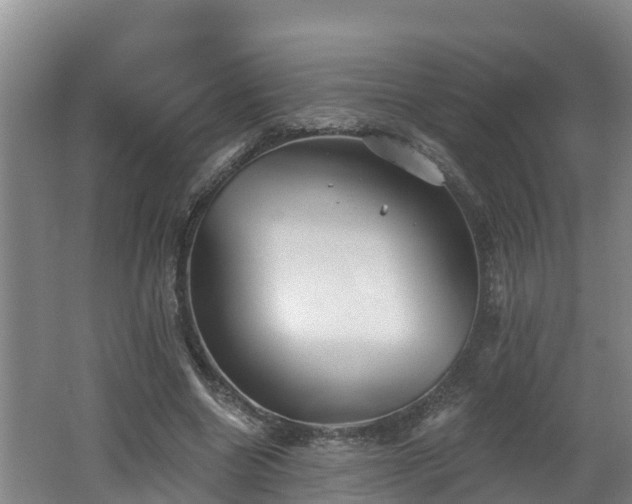 X0000062790538200512261558