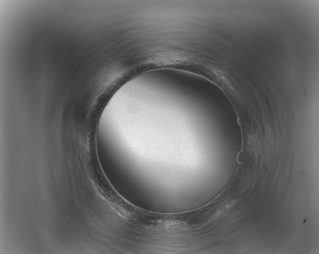 X0000062790539200512261558