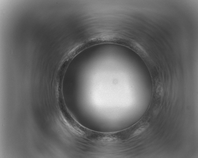 X0000062790542200512261558