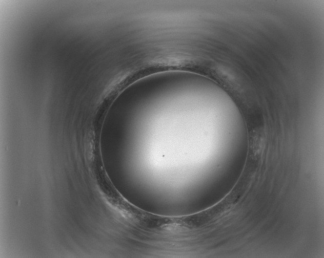 X0000062790544200512261558