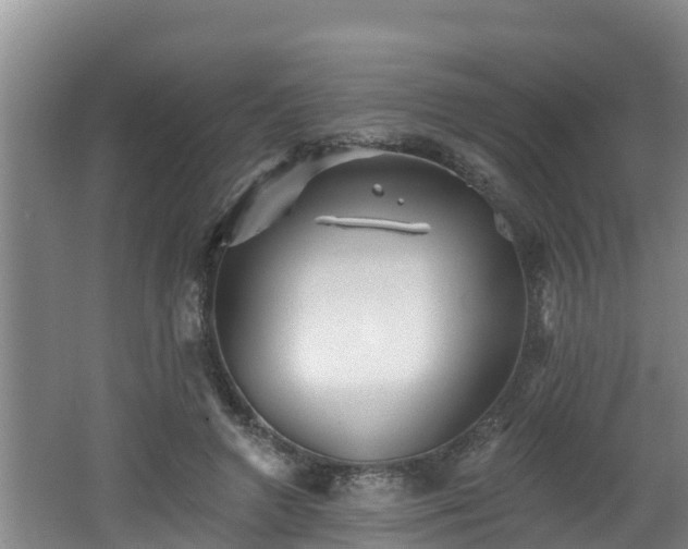 X0000062790546200512261558