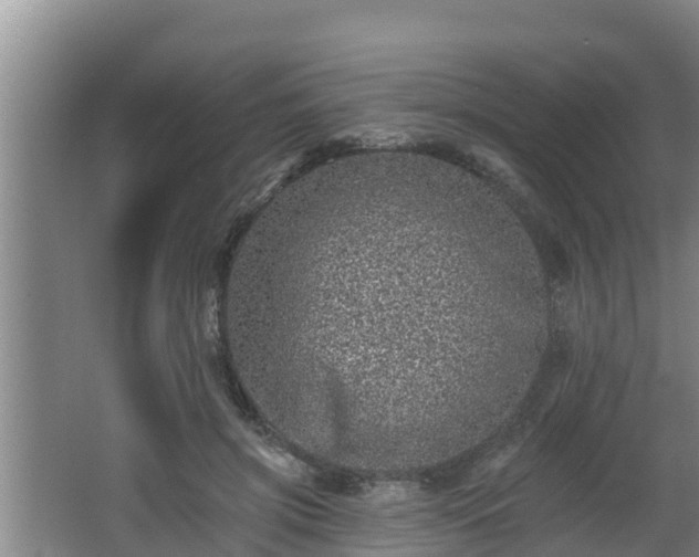 X0000062790549200512261558